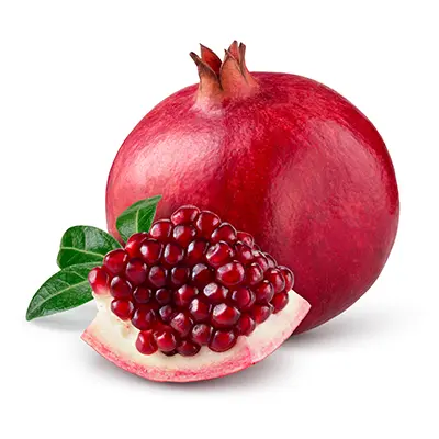 نهال انار گرین گلوب