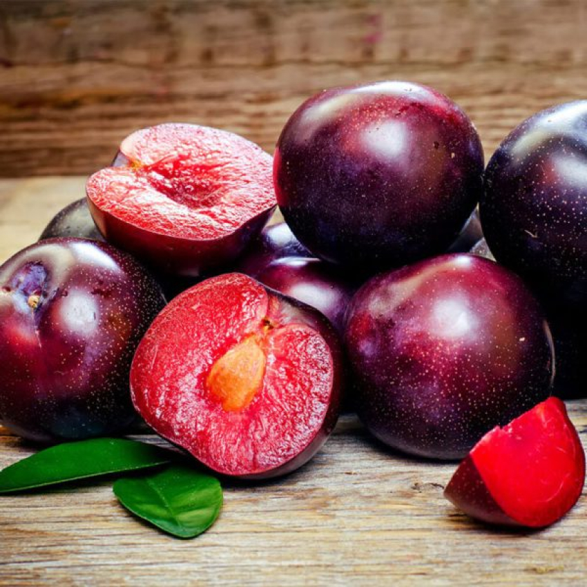 شرایط اقلیمی نهال آلو خونی